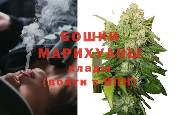 PSILOCYBIN Дедовск