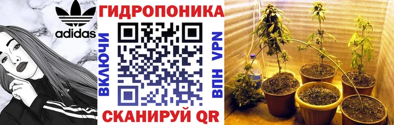 ОМГ ОМГ ссылка  как найти закладки  Певек  Марихуана AK-47 
